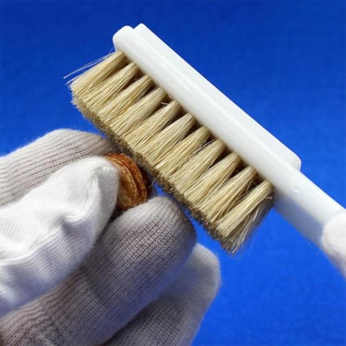 Ciieeo 2pcs Climbing Rocks Brush with Boars Hair Bristles and Sturdy Handle, Outdoor Bouldering Stone Cleaning Tool for Sports Climbing Supplies