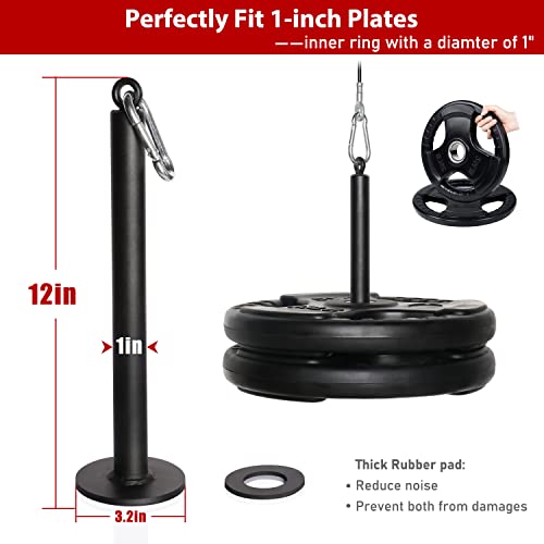 Loading Pin for 1 inch Standard Weight Plates with Carabiner