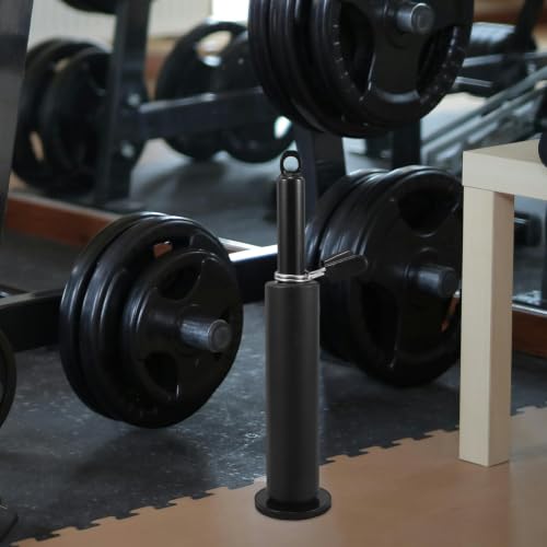 Totority Weight Loading Pin with Iron Construction, Multi-Functional Use for Fitness Pulley Cable Machine Attachment to Strength Training, for Shoulder and Back Training