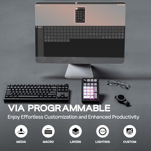 EPOMAKER EK21 VIA Gasket Number Pad w/ 1000mAh Battery, BT 5.0/2.4GHz/Wired | Hot-Swap Numpad with Aluminum Alloy knob, Programmable for Win/Mac/Gaming (Black Silver, Zebra Switch) - color: Black Silver, size: Zebra Switch