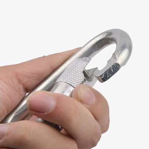 Heavy Duty Carabiner 30KN(6500LBS) Auto Locking Climbing Carabiners Clips for Rock Climbing,Rappelling,Hunting, Rescue Equipment(CE Rated,D Shape) - color: Silver(1Pack)
