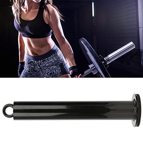 HERCHR Weight pins for Weight Stack Machine, Loading pin for Weight Plates Fitness Equipment Accessory Barbell Support for Cable Pulley System (48 Diameter * 320 mm) - size: 48 diameter * 320 mm