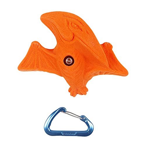 Atomik Rock Climbing Holds Set of 5 XL Dinosaurs in Assorted Bright Tones