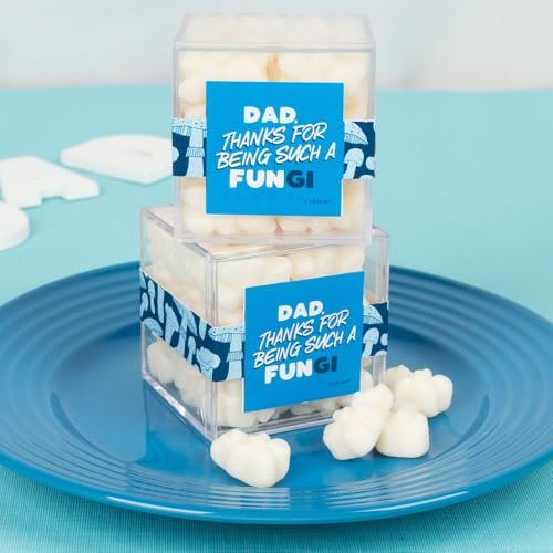 24 Pack Father's Day Candy Favor Cubes Filled With Sugar Gummy Bears For Father's Day Celebration Favors, Church Giveaways, Corporate Treats