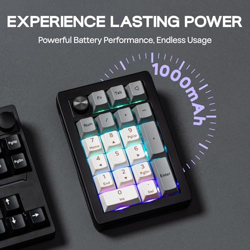 EPOMAKER EK21 VIA Gasket Number Pad w/ 1000mAh Battery, BT 5.0/2.4GHz/Wired | Hot-Swap Numpad with Aluminum Alloy knob, Programmable for Win/Mac/Gaming (Black Silver, Wisteria V2 Switch) - color: Black Silver, size: Wisteria V2 Switch
