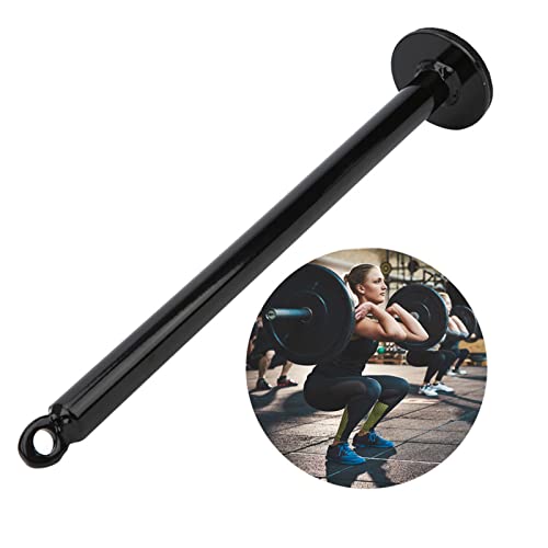 Estink Loading Pin Stainless Steel Weight Plate Holder Grip Training Tool 20mm or 48mm Tube 220mm or 320mm Length for Forearm Work Home Gym Strength Practice - size: 20 diameter*320mm