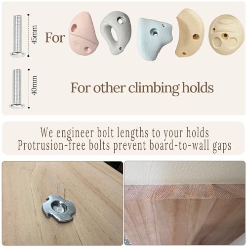 Premium Resin Rock Climbing Holds for All Ages, Large Training Rock Climbing Wall Grips Indoor/Outdoor, Rock-Like Texture Climbing Wall with Mounting Hardware - color: 10 Pcs