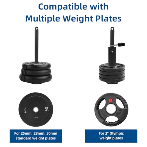 LFJ Weight Loading Pin with Carabiner fit 1 inch and 2 inch Olympic Weight Plate for Cable Pulley System LAT Pulldown - style: Fit Two Plates