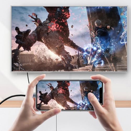 chenyang USB C to HDMI Converter USB C Source to HDMI Sink HDTV Adapter (The HDMI Must be Connected to The Monitor, not The Host.You Need to use The 10Gbps USB C to C Cable,Other Cable not Work) - color: Silver HDMI Adapter