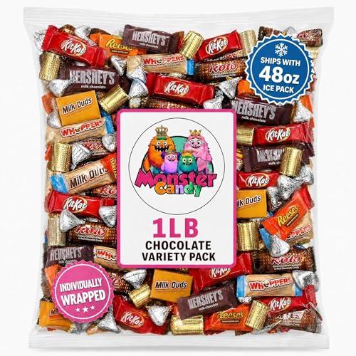 Chocolate Party Favor Candy Mix - 1 lb Stuffers Candy Bulk - Goodie Bag Stuffers for Kids Party Favors - ChocolateVariety Pack Bulk - Individually