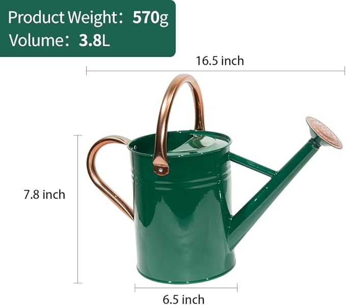 Steel Watering Can Sliver Galvanized Steel Watering Can with Copper Accents,Removable Rosette-Diffuser,One-Gallon Green