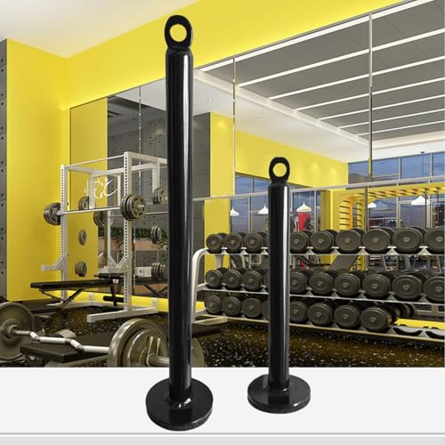 Equipment Dumbbell Barbell Rack Holder Weight Plate Loading Pin Dumbbell Rack, Weightlifting Holder Stand Fitness Loading Pin - color: Diameter 0.8 x 12.6 inches (20