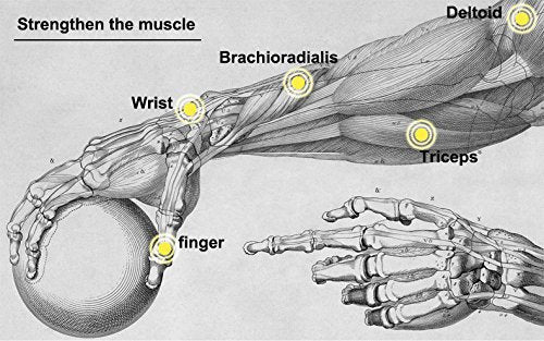 Power Wrist Ball AUTO Start Gyro Ball with LED Lights Forearm Exerciser Wrist Strengthener for Strengthening Muscle and Bones - color: White
