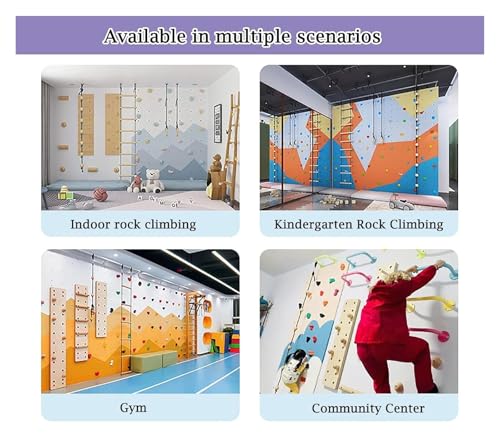 Climbing Kit,Climbing Holds, Set of 5 Screw-On Rock Climbing Holds, Random Style Climbing Grab Rocks, Home School Rock Climbing Wall(5pcs-Plank Installation) - size: 5pcs-Plank installation