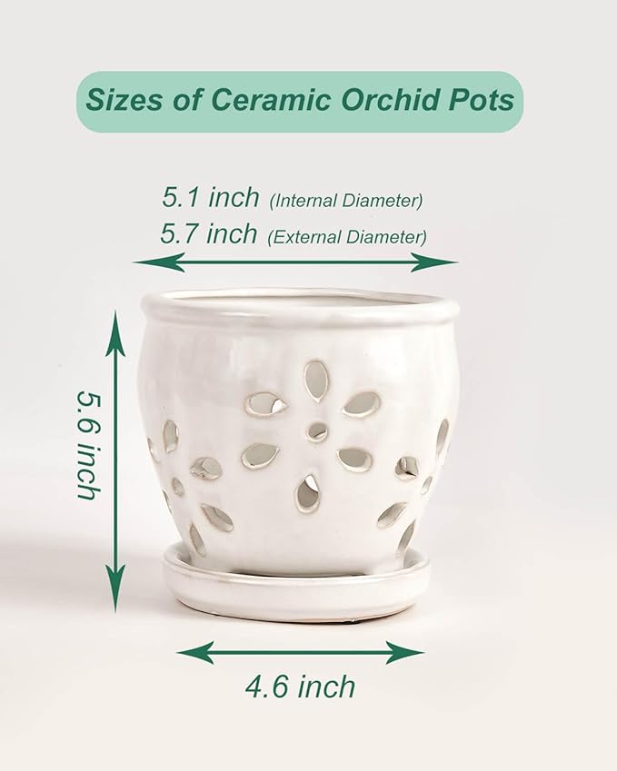 vensovo 5 Inch Ceramic Orchid Pots with Holes and Saucers - 1 Pcs Small Succulent Pot for Repotting, Garden Flowerpots for Plants Indoor and Outdoor Promotes Air Circulation, White