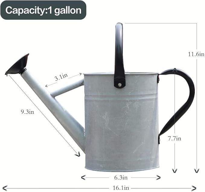 Metal Watering Can, One Gallon Watering Cans Stainless Steel for Outdoor Indoor Garden Plants Watering (Silver 1 Gallon)