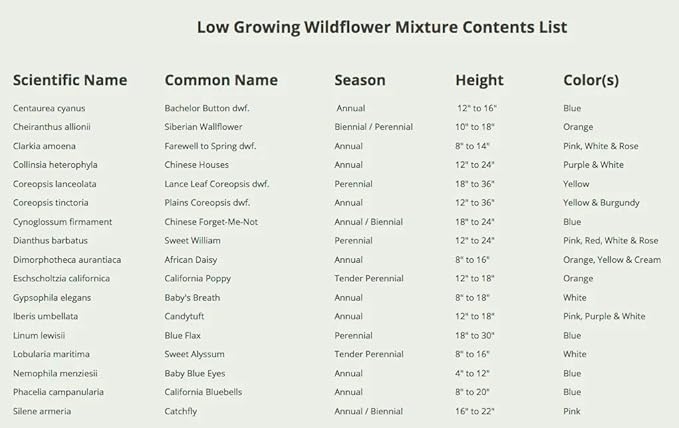 Seed Needs Low Growing Wildflower Flower Seeds for Planting | 10 Packs (1 Ounce Each) Mixture/Blend 17 Varieties | Resealable Package Multicolored Blooms Open Pollinated Mixed Species | Bulk