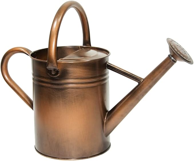 Galvanized Metal Watering Can, One Gallon Watering Cans for Outdoor Indoor Garden Plants Watering with Luminous Panit