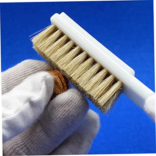 Cabilock 2pcs Bouldering Brush Boar Hair and Sturdy Handle for Cleaning Climbing Rocks Essential Tool for Outdoor Sports and Bouldering Enthusiasts