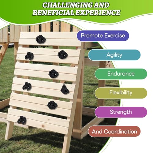 12Pcs Rock Climbing Wall Holds Set with Textured Grip Climbing Stone for Backyard Playgrounds Rock Wall - color: Purple