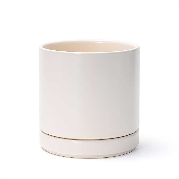 D'vine Dev 6 Inch Ceramic Planter Pot with Drainage Hole and Saucer, Indoor Cylinder Round Planter Pot, Oatmeal, 94-O-C-8