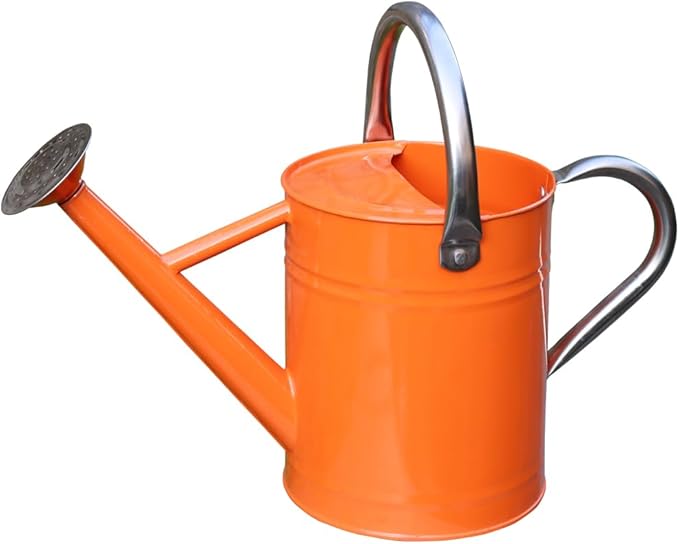 Metal Watering Can, One Gallon Watering Cans Stainless Steel for Outdoor Indoor Garden Plants Watering (Stainless Steel Handle Orange)