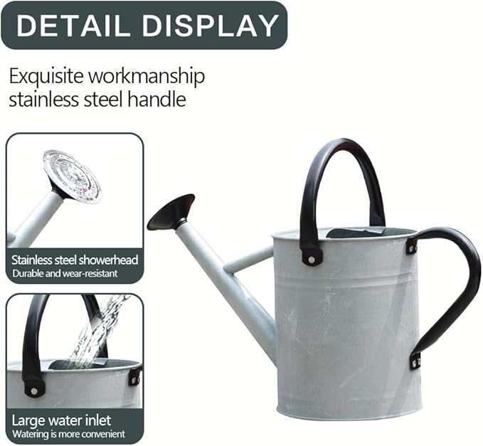 Metal Watering Can, One Gallon Watering Cans Stainless Steel for Outdoor Indoor Garden Plants Watering (Silver 1 Gallon)