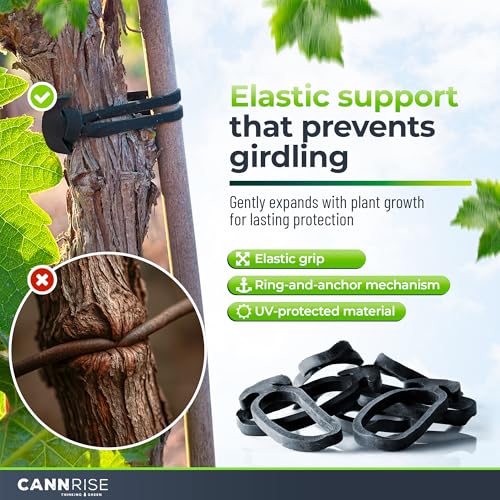 Anchor Bands for Trellising – 70-Pack 8 cm/3.14 in Rubber Vine Ties, UV-Protected Bands: Grapevines, Trees & Climbing Plants – Tool-Free Loop-and-Anchor Design for Install, Weatherproof - size: 70 pack / 3.14"