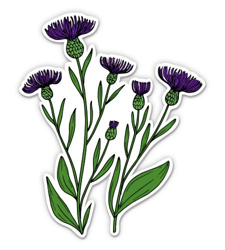 Thistle - 3" Vinyl Sticker - for Car Laptop I-Pad Phone Helmet Hard Hat - Waterproof Decal - size: 3"