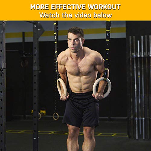 Quick Adjust Numbered Straps for Gymnastic Rings - Carabiner System and Exercise Video Guide for Full Body Workout, Calisthenics, and Home Gym