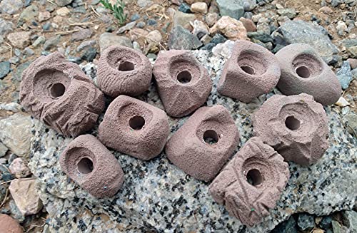 Small Holds Climbing Pack of 10 Bolt-on Holds of Foot and Crimp Size - color: Brown