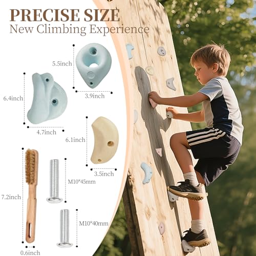 Premium Resin Rock Climbing Holds for All Ages, Large Training Rock Climbing Wall Grips Indoor/Outdoor, Rock-Like Texture Climbing Wall with Mounting Hardware - color: 20 Pcs