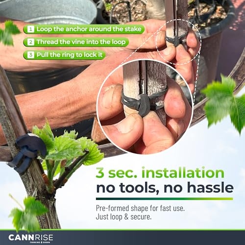 Anchor Bands for Trellising - 33-Pack 12 cm/4.72 in Rubber Vine Ties, UV-Protected Bands: Grapevines, Trees & Climbing Plants – Tool-Free Loop-and-Anchor Design for Install, Weatherproof - size: 33 pack / 4.72"