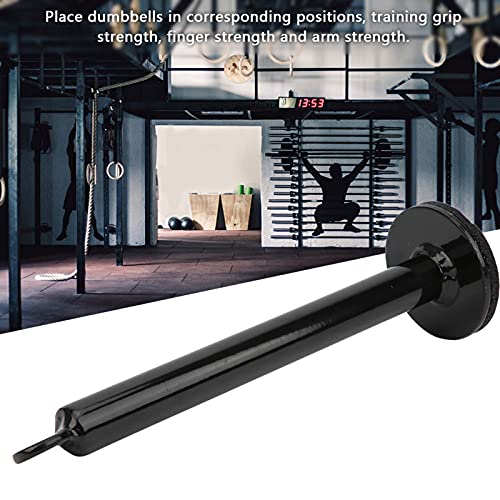 Ejoyous Barbell Loading Pin, Stainless Steel Weight Plate Holder for Dumbbell Grip Strength Training, with 3 Sizes - size: 20 diameter*220mm