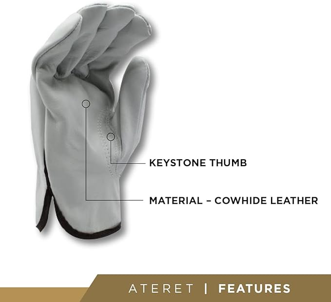 ATERET 36 Pairs Small Heavy Duty Durable Cowhide Leather Work Gloves I Driver Gloves for Truck Driving, Warehouse, Gardening, Farming