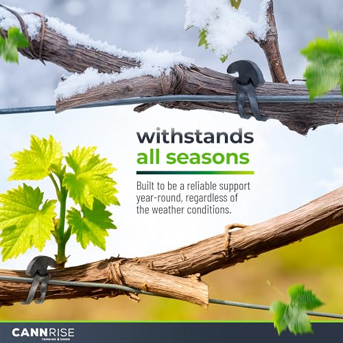 Anchor Bands for Trellising - 33-Pack 12 cm/4.72 in Rubber Vine Ties, UV-Protected Bands: Grapevines, Trees & Climbing Plants – Tool-Free Loop-and-Anchor Design for Install, Weatherproof - size: 33 pack / 4.72"