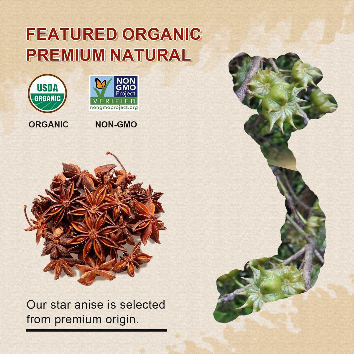 52USA Organic Star Anise, 16 Ounce, NON-GMO Verified Chinese Whole Star Anise Pods
