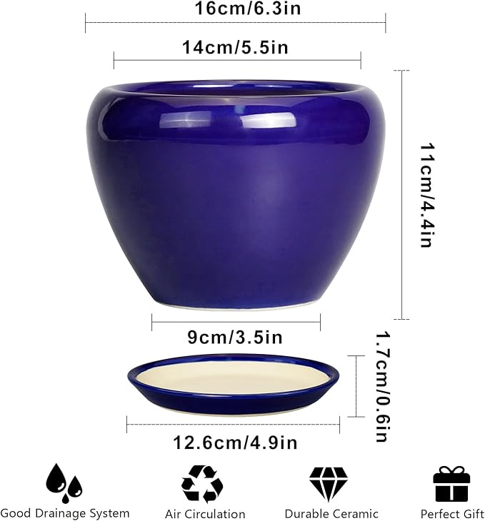 6 Inch Plant Pot - Ceramic Pots for Plants Succulent Pot with Drainage Hole and Saucer Round Planter Outdoor Flower Pot for Herb Snake Plants Blue