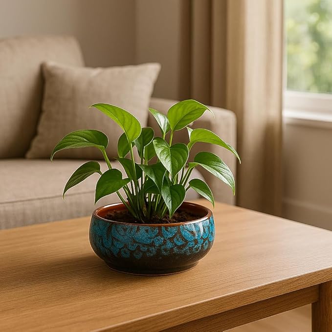 Lotus Bowl Planter, Lotus Bowls for Planting in Water Indoors,6.5-inch Round Succulent Flower Pot with Rotating Bracket, Leak-Proof Design, Suitable for hydroponic Plants, Succulents (Blue)