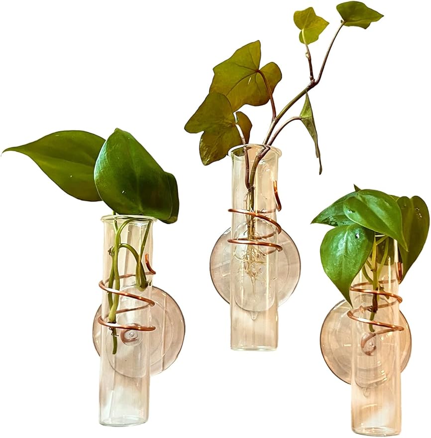 The Little Window Propagator | Window Propagation Station with Removable Glass Tubes, Indoor Plant Clippings, Cut Flowers, Herbs, Succulents | Home Decor | Plant Lover Gift (3)