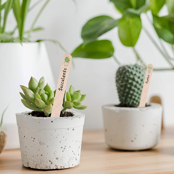 Whaline 200Pcs Wooden Plant Labels Waterproof Round Head Plant Sign Tags Birch Wood Plant Label Eco-Friendly Garden Markers for Seed Potted Herbs Flowers Vegetables with 2 Gel Pen, 15 X 1.7 CM