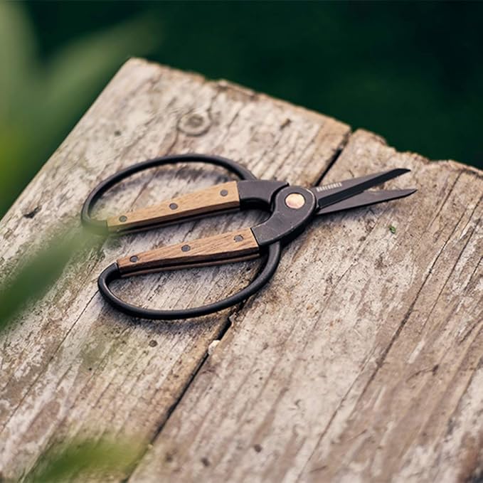 Barebones Garden Scissors - Walnut Scissors - Garden Supplies and Indoor Plant Accessories - Plant Shears with Wide Handles - Comfortable Fit Trimming Shears (Small)
