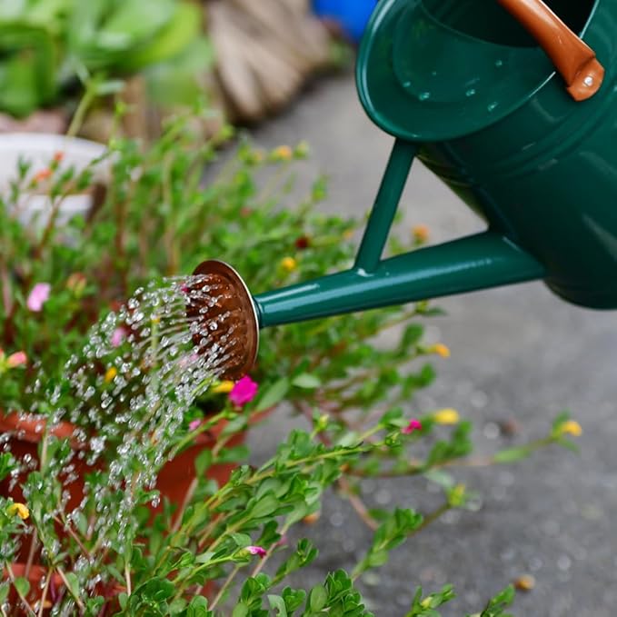 Steel Watering Can Sliver Galvanized Steel Watering Can with Copper Accents,Removable Rosette-Diffuser,One-Gallon Green