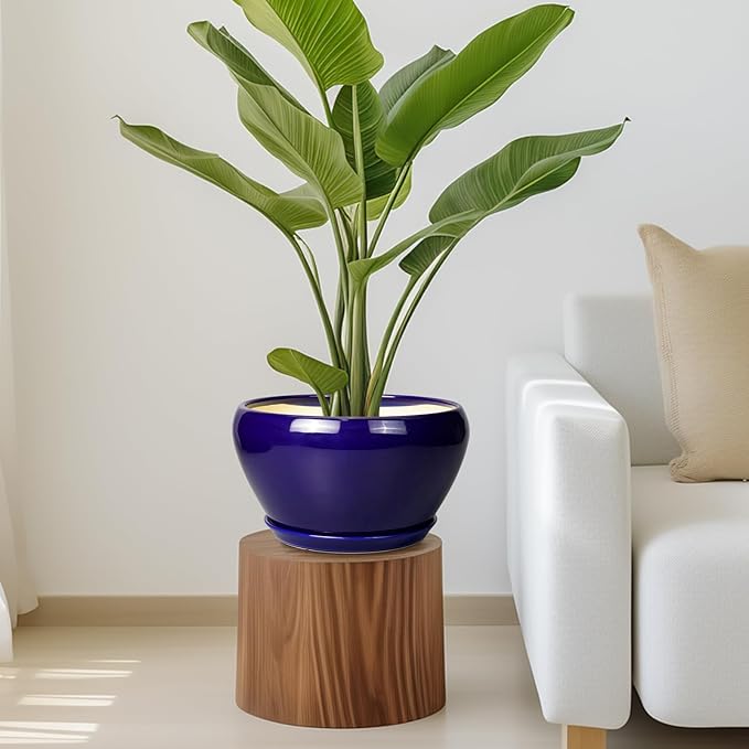 Ceramic Pot for Plants - 11 Inch Modern Round Indoor Planter with Drainage Hole and Planter Saucer for Flowers, Patio Office Home Room Decor, Gardening Gifts for Women & Men, Blue