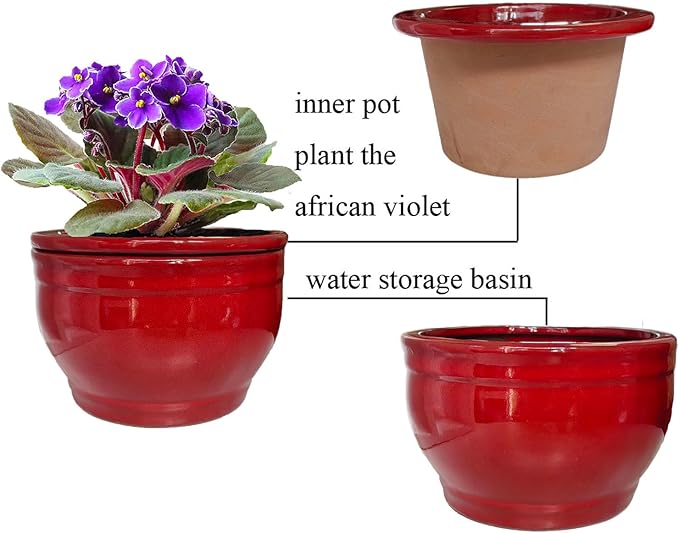 African Violet Pots Self Watering Round Ceramic Violet Pot (red, 6 inch)