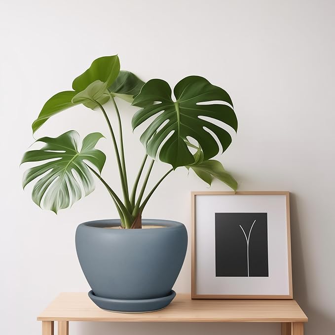Ceramic Pot for Plants - 6 Inch Plant Pot Indoor with Drainage Hole and Saucer Decorative Planter for Outdoor Plants Modern Succulent Pots Round Flower Pots Gray
