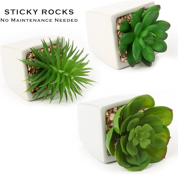 Hollyone Succulents Plants Artificial 3Pcs Small Fake Succulents in Pots Faux Plastic Potted Plants with White Ceramic Pot for Home Decor Classroom Office Bathroom Shelf Indoor & Outdoor Decorations