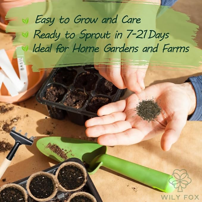 Premium Taraxacum Dandelion Seeds - 5000 Non-GMO Heirloom Purple-Stem Dandelion Seeds for Planting, Herbal Tea & Pollinators –Most Medicinal Variety (Taraxacum)