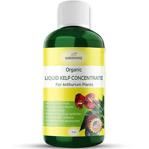Organic Premium Seaweed Anthurium Fertilizer - Liquid Kelp Plant Food - Nutrient-Rich Soil Enhancer (16 OZ)
