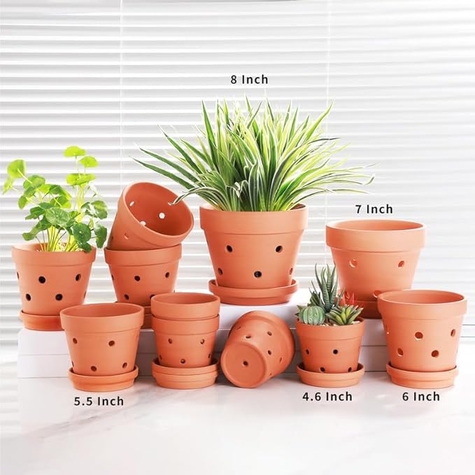 Fcacti 6 Inch Terracotta Orchid Pots with Drainage Holes and Saucers - 6 Pack Small Clay Orchid Planter Pots for Repotting, Plant Flower Pots for Orchid Indoor/Outdoor Promotes Air Circulation